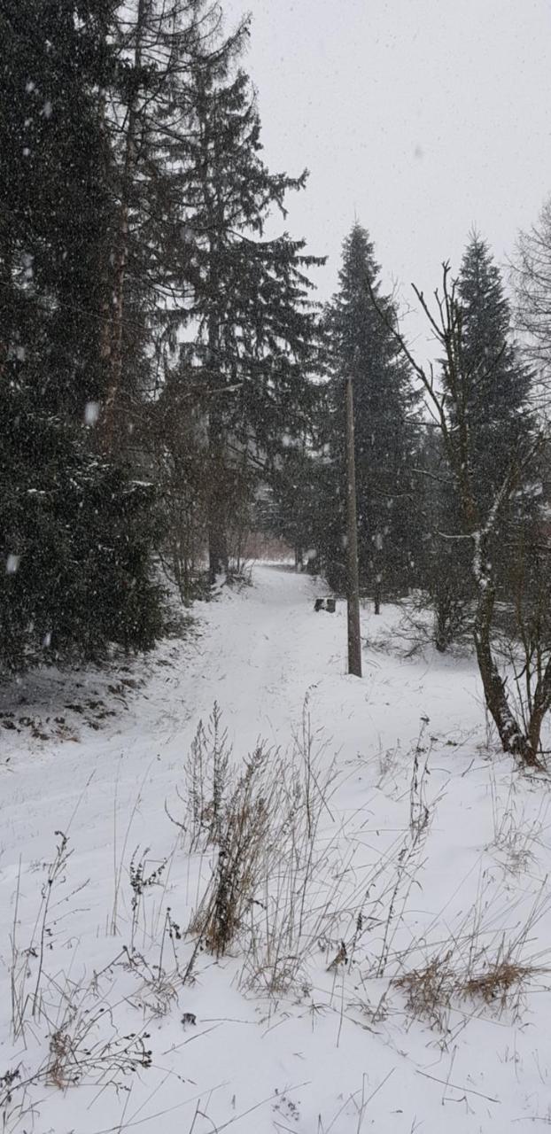 Chata Na Kovarne Rýmařov Extérieur photo